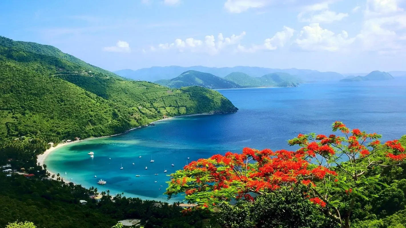 绿色节能绿色